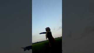 Download lagu Penemuan Wanita Cantik Di Tengah Sawah mp3 Download lagu Penemuan Wanita Cantik Di Tengah Sawah mp3