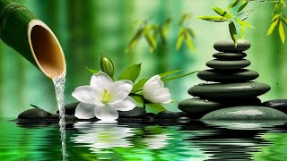 Deep Sleep Music 🌙 Nature Sounds & Healing Piano for Stress Relief, Insomnia & Calm Meditation