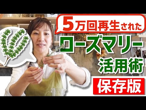 マリーゴールド軟膏: 自分で鎮静クリームを作ろう 植物