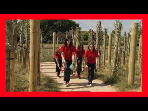 Singing Hands: It's Signing Time 2 DVD Trailer - Makaton Sign Language