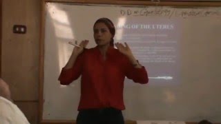 Gynaecology - Dr.Nadine Alaa - Differential diagnosis and Operative gynaecology (1)