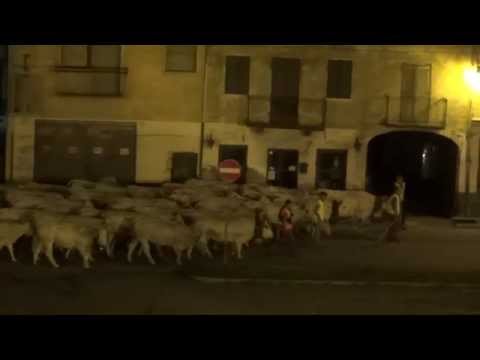 ORE 2,30 PASSA LA TRANSUMANZA A ROBILANTE. (CN) 18 - 6 - 2015.