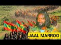 Jaal Marroo Dirriba Dhugaa Haala Yeroo Itoophiyaa Irratti 29 May 2026