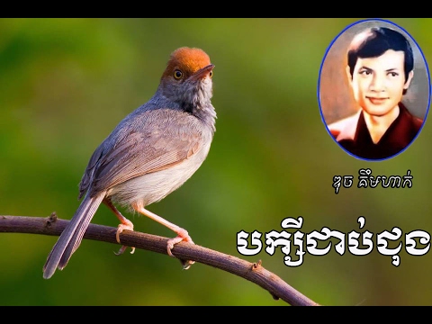 BakSey Chorb Chung​​ By duch kimhak