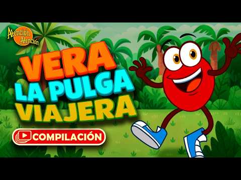 1 hora de videos con Vera La Pulga Viajera 🔴 Compilados de Atención Atención 🎶