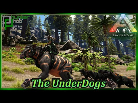 Setting up a Taming Raft and Checking out the Redwoods in Ark's The Underdogs 26