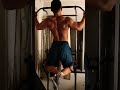 懸垂をやり続けるとこんな背中になります#shorts