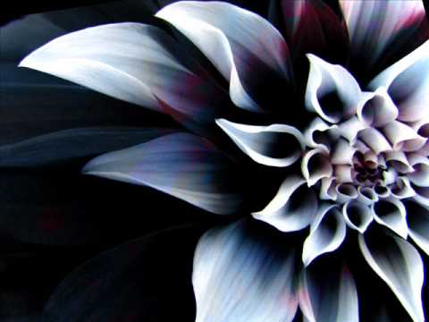 Wolf Myer Orchestra - Illusionary Wave