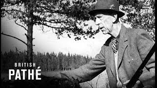 Royal Hunt Finds Ex-King Best Shot (1949)