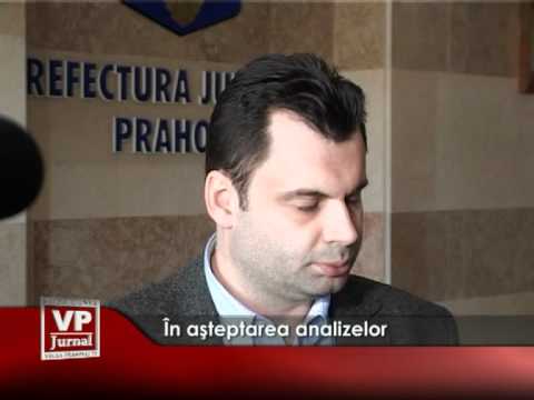 În așteptarea analizelor