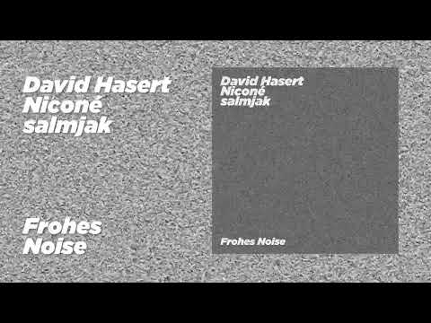 David Hasert, Niconé, salmjak - Frohes Noise [Feines Tier]
