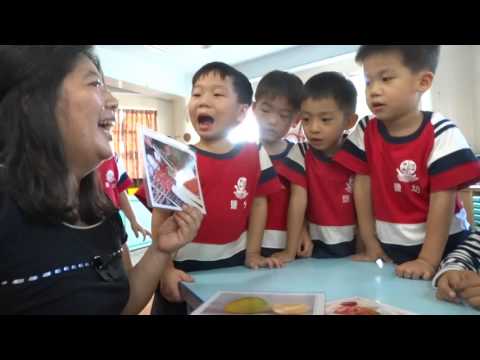 蝴蝶班認識中秋節活動與食物