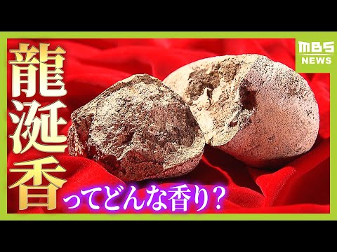 MBS NEWS 龍涎香ニュースのサムネイル