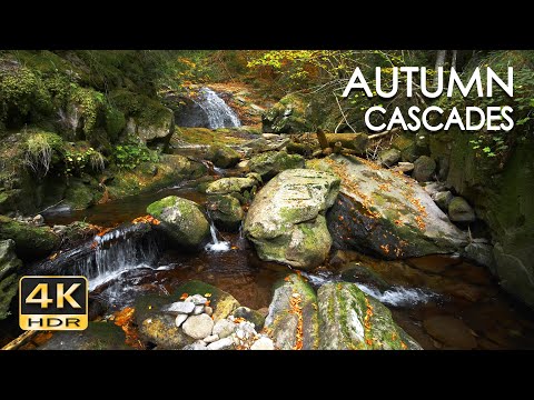 4K HDR Autumn Cascades - Forest Stream - Water Flowing Sounds - Natural White Noise - Sleep / Relax