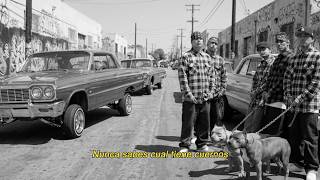 Cypress Hill - Dr. Dedoverde (Dr. Greenthumb Spanish Version) [Visualizer]