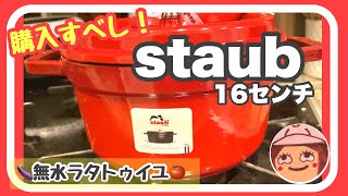 【staub 16センチ】夏野菜無水ラタトゥイユ！時短料理