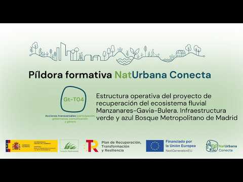 Estructura operativa del proyecto fluvial Manzanares Gavia Bulera