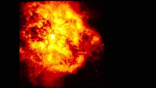 Chasing the ghost particle | Dirk Ryckbosch | TEDxGhent