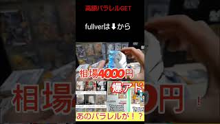 高額パラレルを当てた男