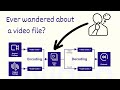 Understanding Video File Formats and Container Structure