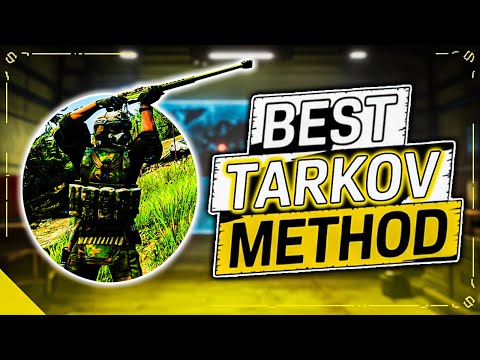 Everything New Tarkov Players MUST Know About PvE