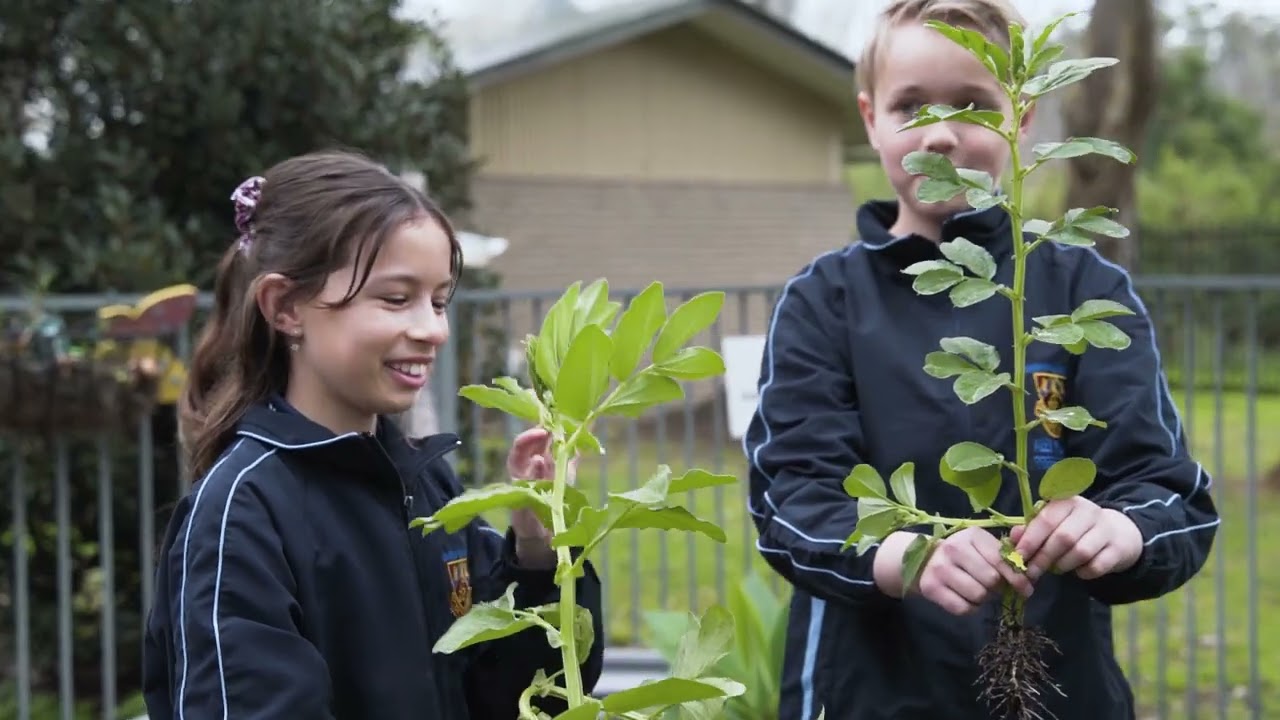 Ramsgate RSL's Feeding Local School Projects