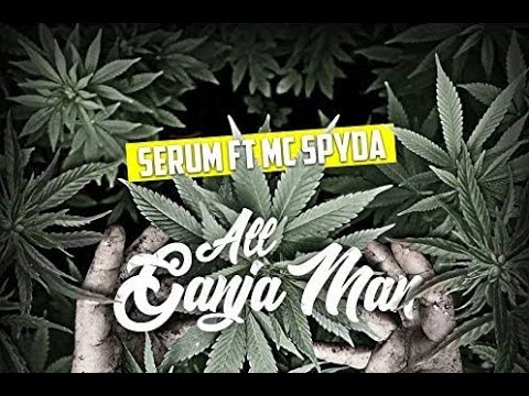 Serum & $pyda - All Ganja Man (Evilution's Extended Mix)