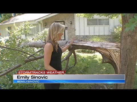 Avoid storm damage cleanup scams with these helpful tips