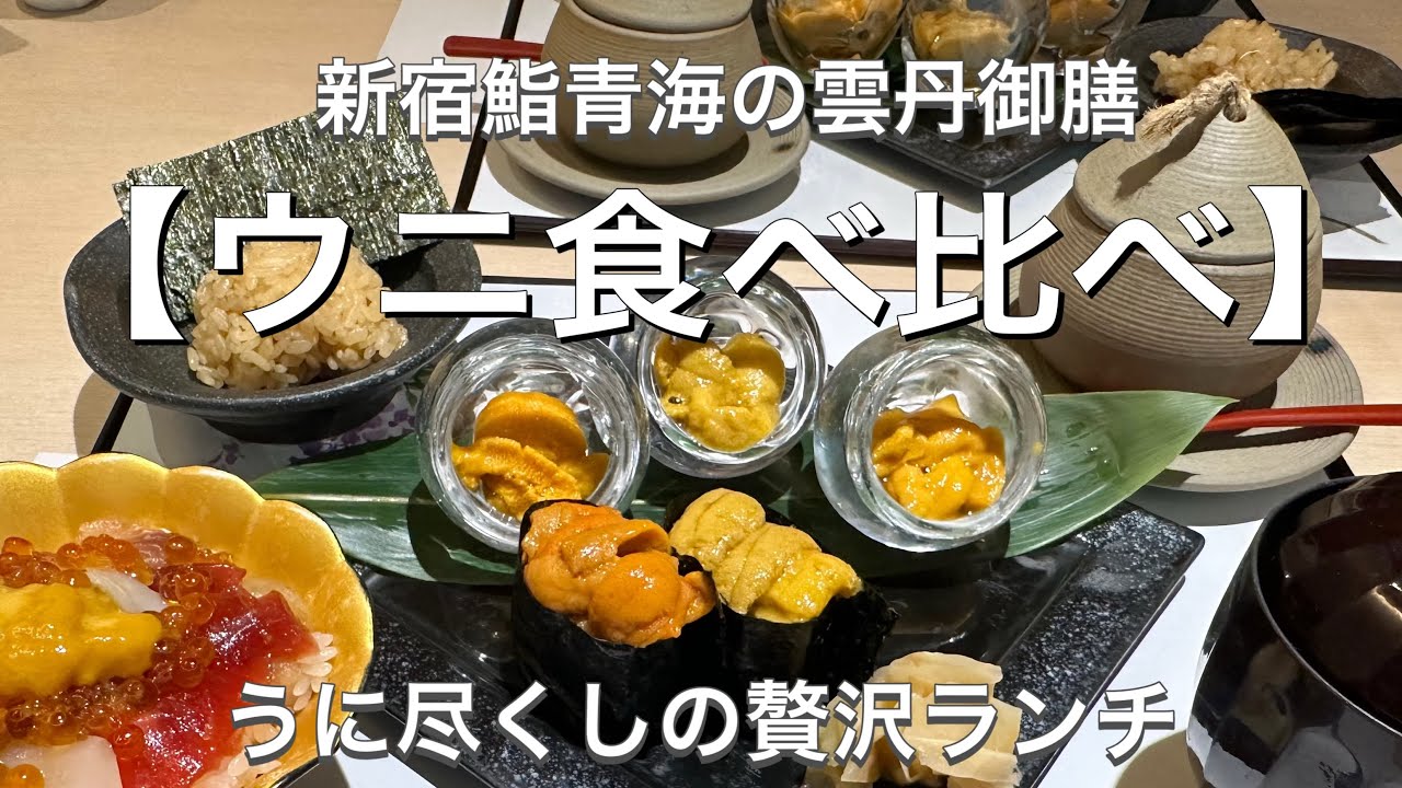 【ウニ食べ比べ】新宿鮨青海の雲丹御膳/うに尽くしの贅沢ランチ
