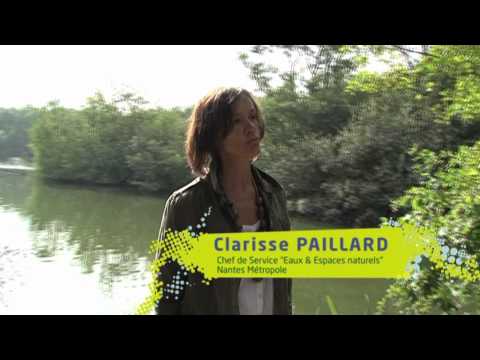 pourquoi la nature en ville