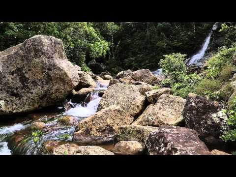 download lagu mp3 mp4 Musique De Relaxation Torrent, download lagu Musique De Relaxation Torrent gratis, unduh video klip Download Musique De Relaxation Torrent Mp3 dan Mp4 Music Online Gratis