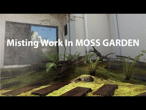 , title : '이끼 정원에 이슬비 내리기 하기 | 미스팅 시스템 작업 Moss Garden In The Drizzle, Misting System |'