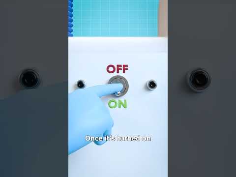 How The Human Heart Beats Outside Of Host 😨