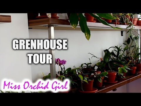 The Orchid Greenhouse tour! .. finally