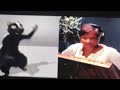 Opening To Madagascar 2005 DVD