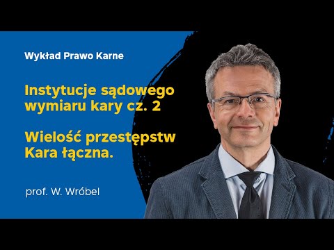 Wykład 28 z Prawa Karnego Materialnego - 06.06.2022 r. - prof. dr hab. Włodzimierz Wróbel