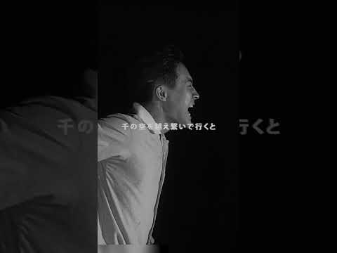 NHK『みんなのうた』に書き下ろした「万有引力 / Tani Yuuki」MV公開❤️‍🔥