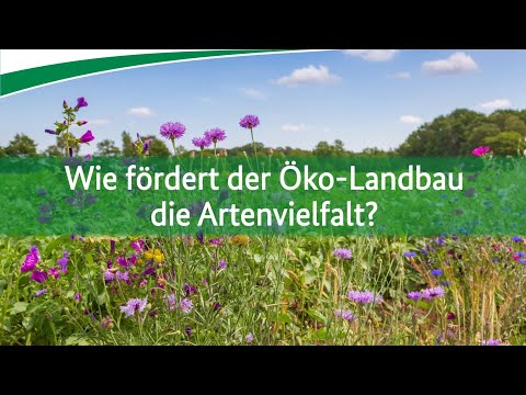 Was hat Bio mit Artenvielfalt zu tun?