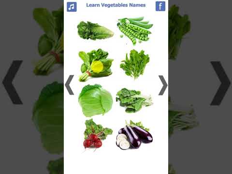 Learn Vegetables Name Video