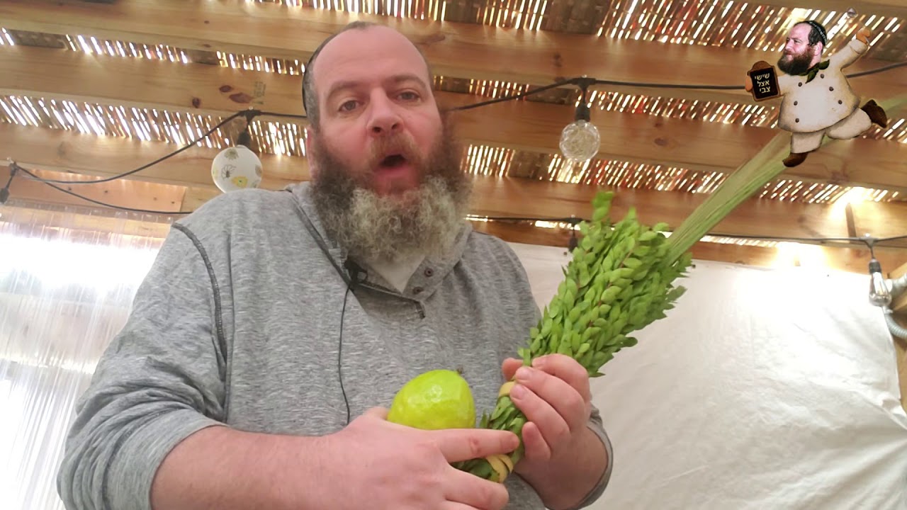 סוכות בניו יורק   קבל כוחות על - שישי אצל צבי ניו יורק סוכה מהודרת
