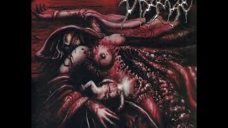 Disgorge - Exhuming The Disemboweled