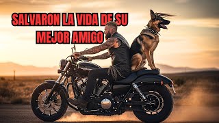 Un Motoquero y Su Pastor Alemán Aniquilaron a Una Pandilla Entera Para Salvar a Su Amigo