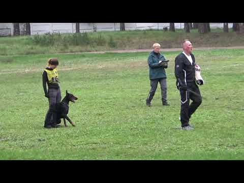 2021 IGP CACT Dmitrov Russia 10 S Vinogradova and KORONA ASTRALIS REA Doberman C87