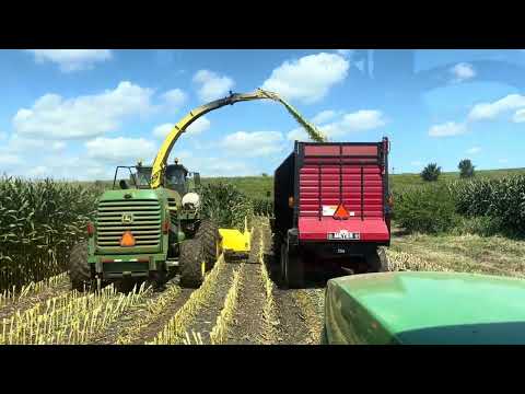 Chopping corn silage ￼