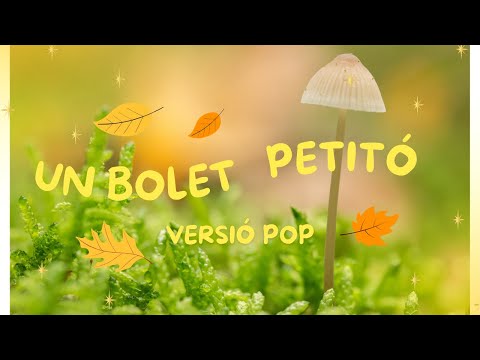 BOLET PETITÓ VERSIÓ POP