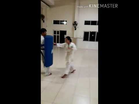 Pmk kyokushinkai Semarang