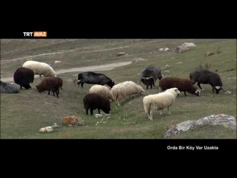 Kabardey Balkar Cumhuriyeti - Orda Bir Köy Var Uzakta - 26. Bölüm - TRT Avaz