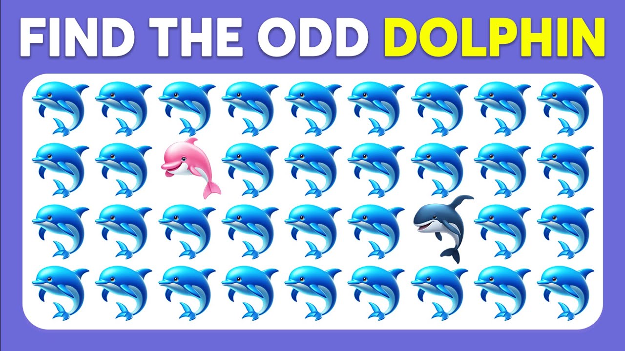 Find the ODD One Out - Sea Edition! 🐬🐚🦑 Monkey Quiz