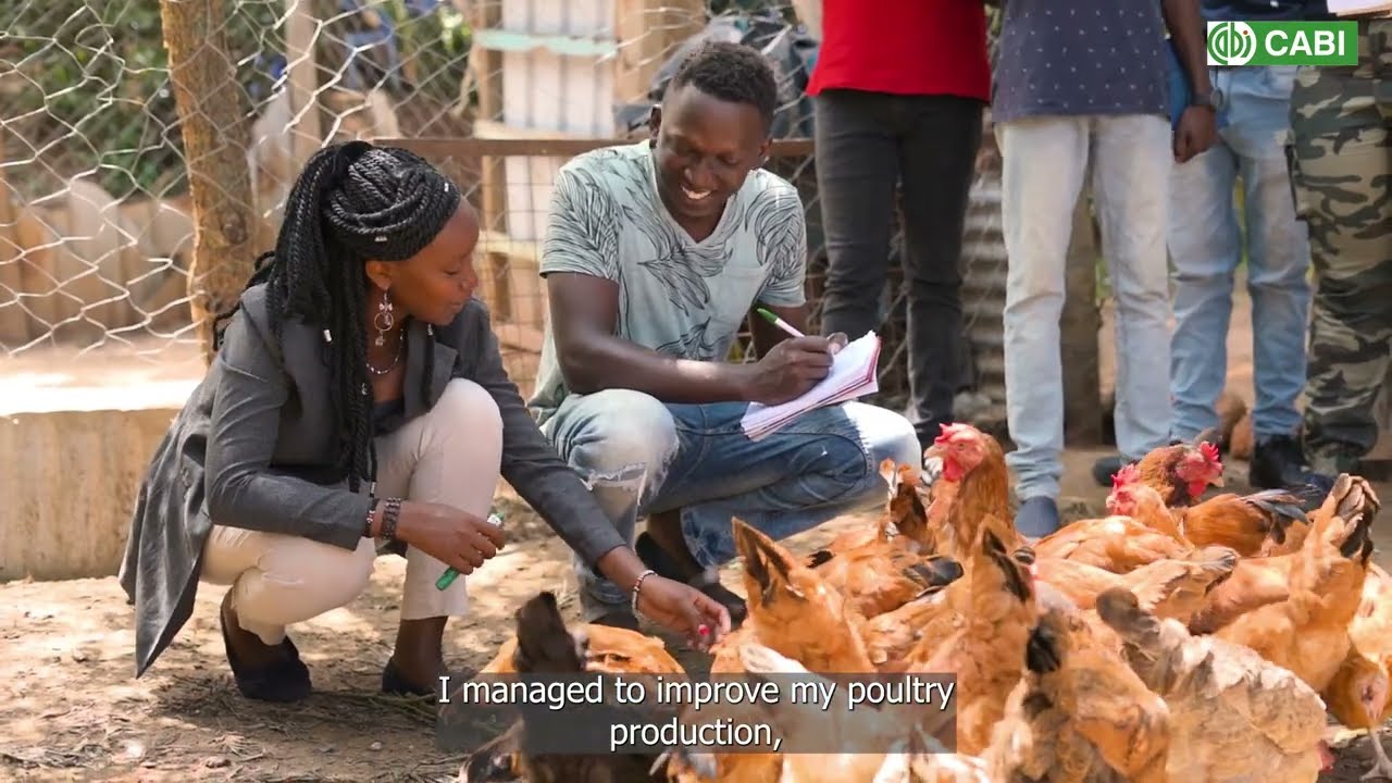 Lessons from Mary Nzula: Poultry Business thumbnail