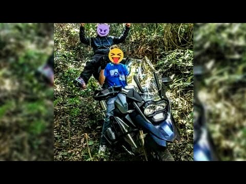 mandrake é a profissão 🚀🏄🤟